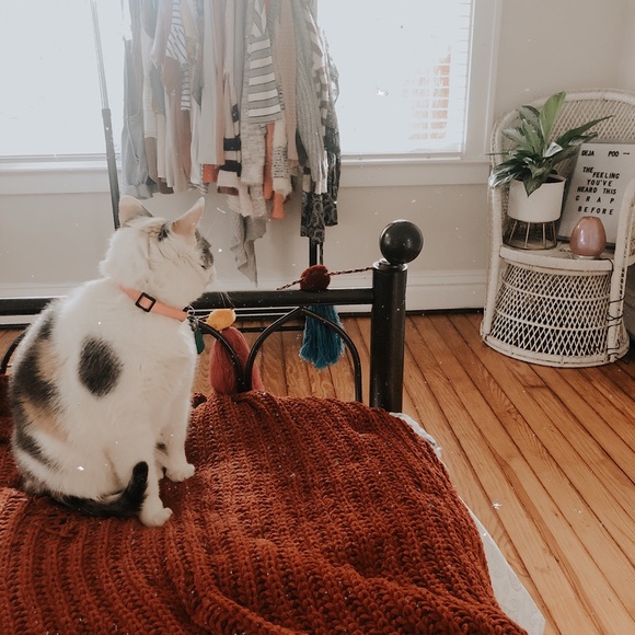 β’ meet the assistants β’ - Picture 2 of 15